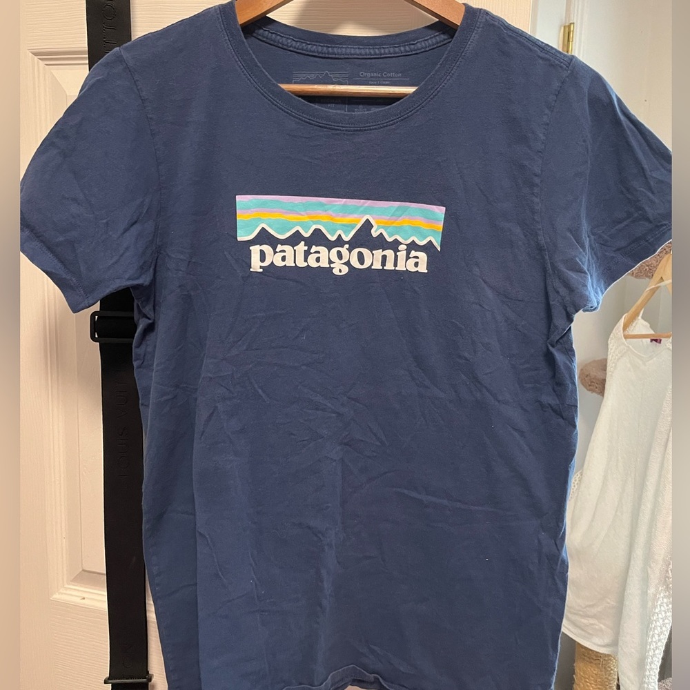 Patagonia Shirt